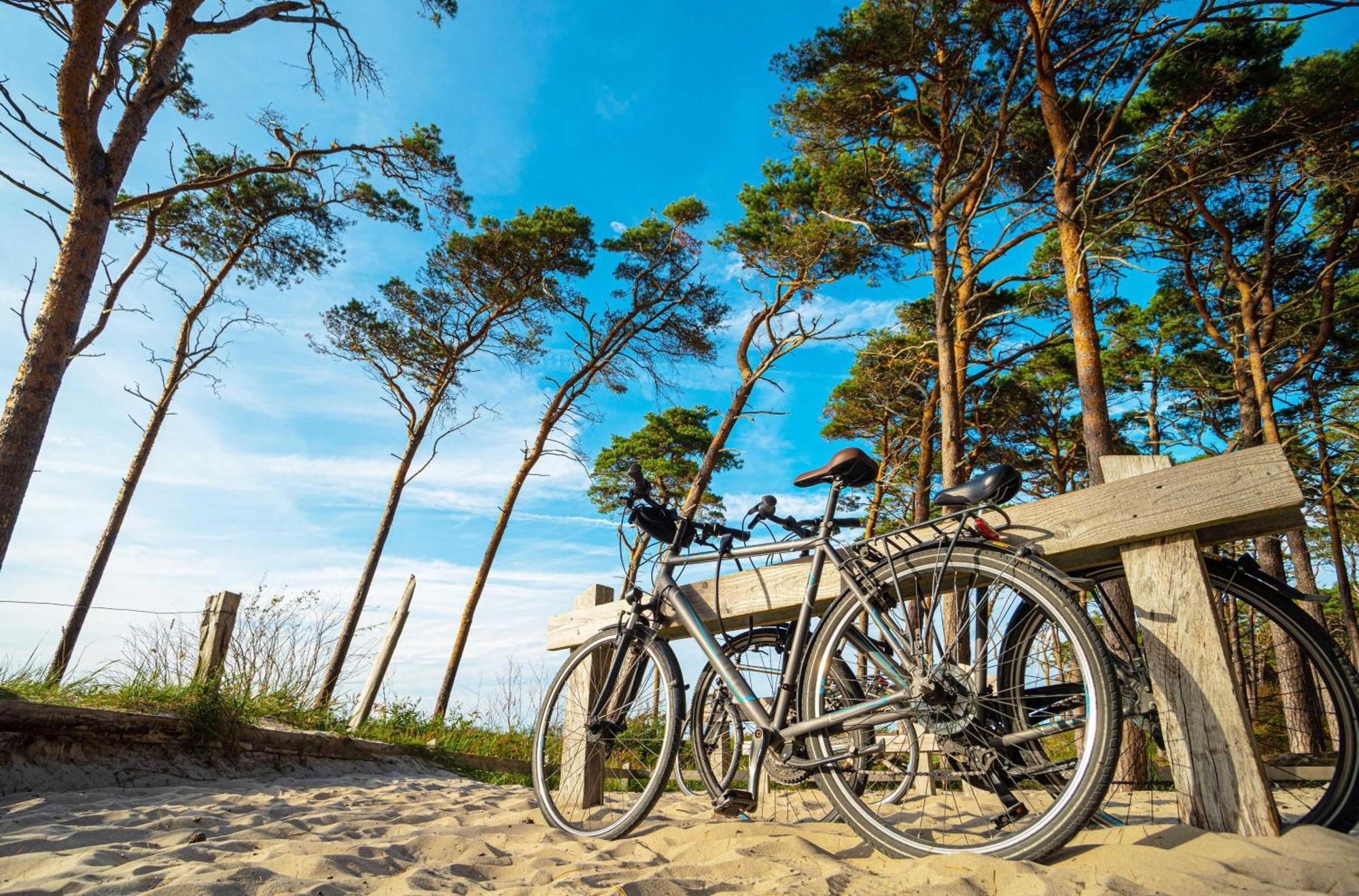 Meeresbrise Im Ostseeheilbad Zingst Extérieur photo