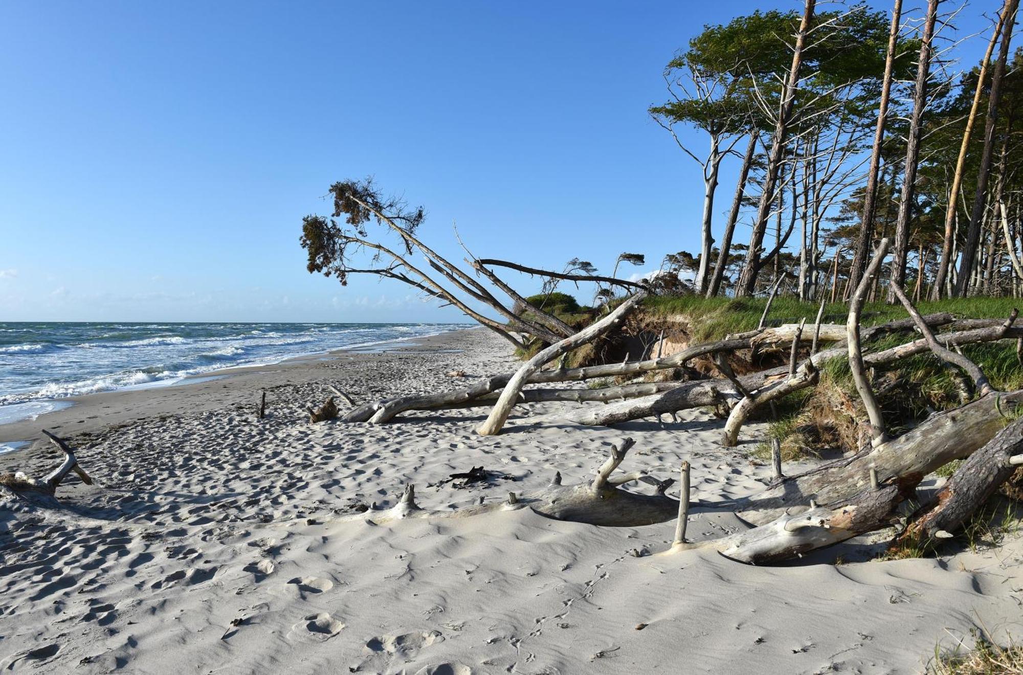 Meeresbrise Im Ostseeheilbad Zingst Extérieur photo